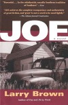 joe poster.jpg